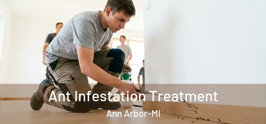  Ant Infestation Treatment Ann Arbor-MI