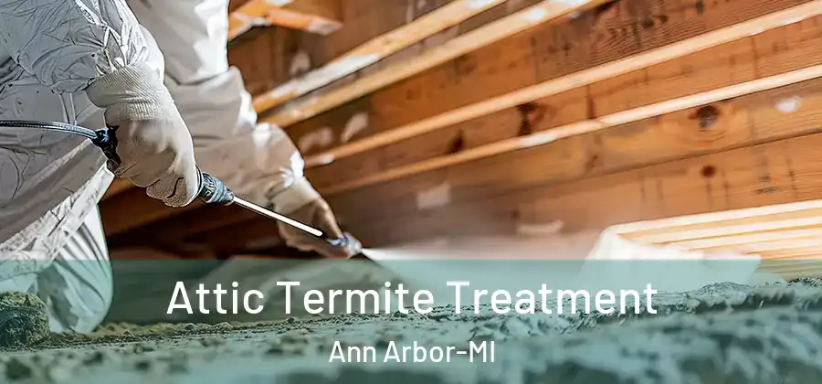  Attic Termite Treatment Ann Arbor-MI