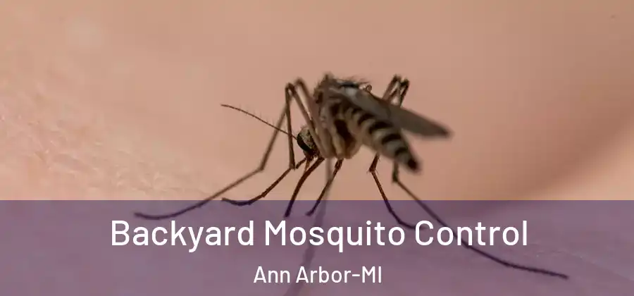 Backyard Mosquito Control Ann Arbor-MI
