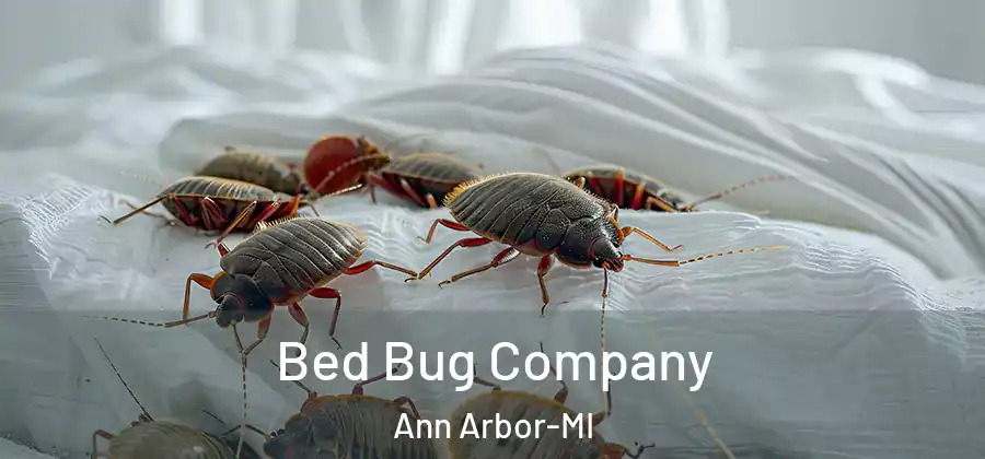  Bed Bug Company Ann Arbor-MI