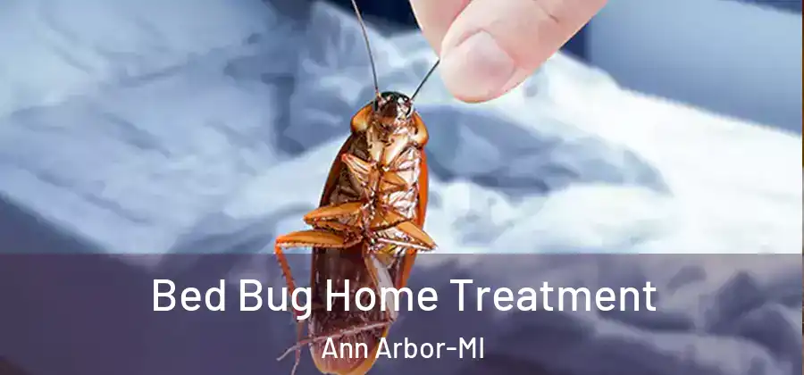  Bed Bug Home Treatment Ann Arbor-MI