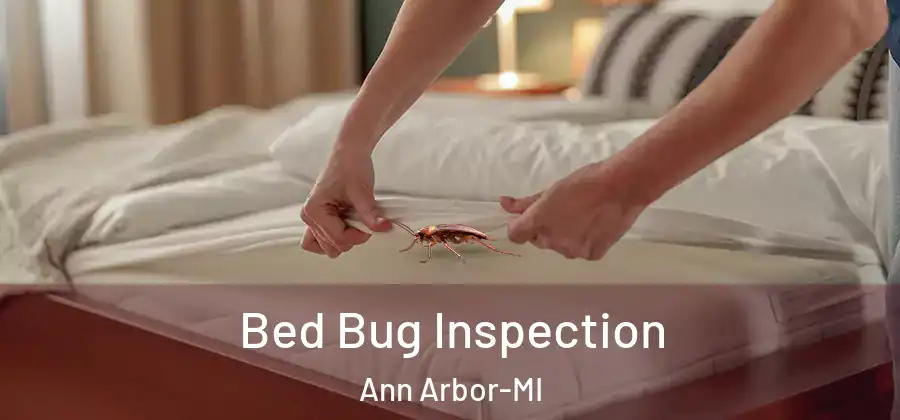 Bed Bug Inspection Ann Arbor-MI