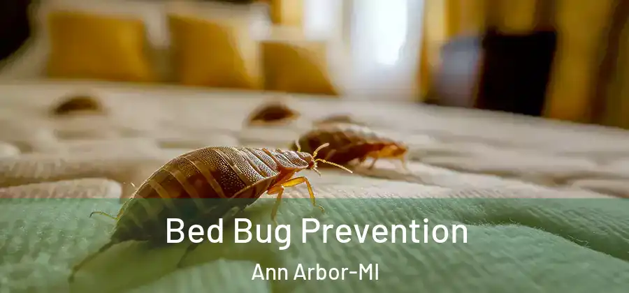  Bed Bug Prevention Ann Arbor-MI