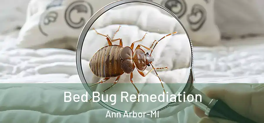 Bed Bug Remediation Ann Arbor-MI
