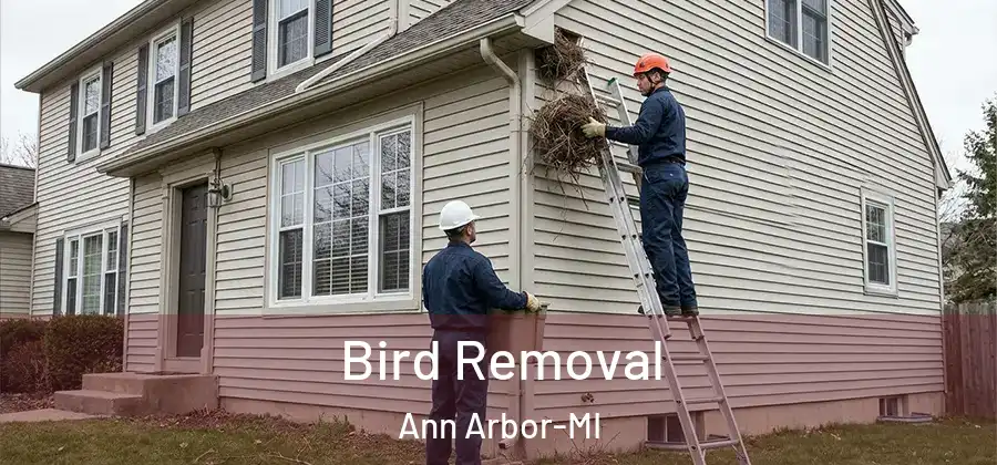 Bird Removal Ann Arbor-MI