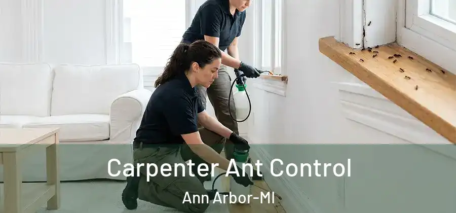 Carpenter Ant Control Ann Arbor-MI