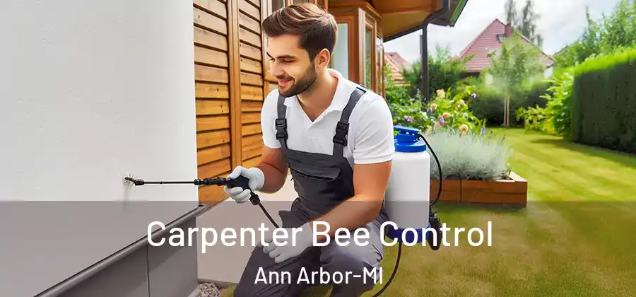 Carpenter Bee Control Ann Arbor-MI