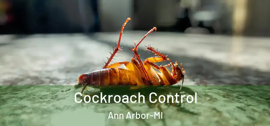  Cockroach Control Ann Arbor-MI