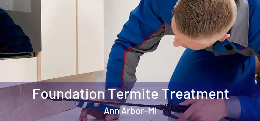  Foundation Termite Treatment Ann Arbor-MI