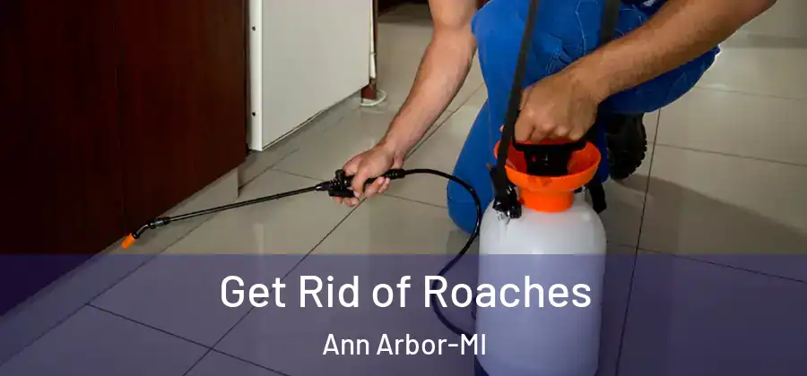 Get Rid of Roaches Ann Arbor-MI