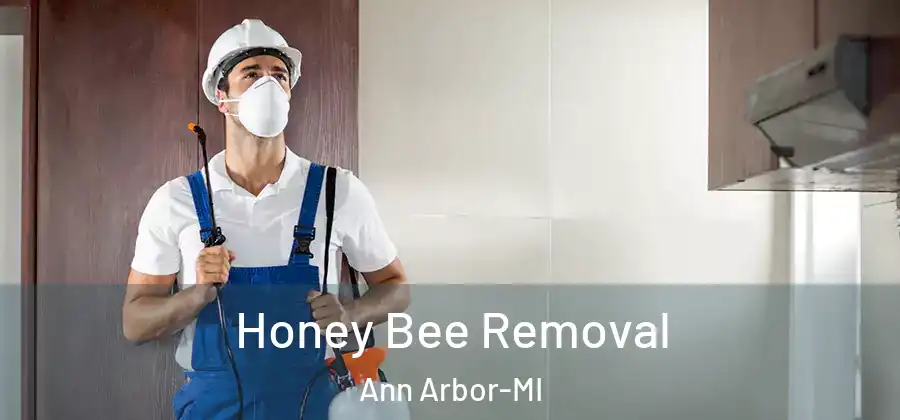 Honey Bee Removal Ann Arbor-MI