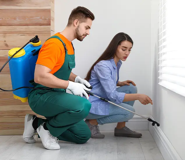 Trusted Affordable Bed Bug Treatment Experts in Ann Arbor, MI