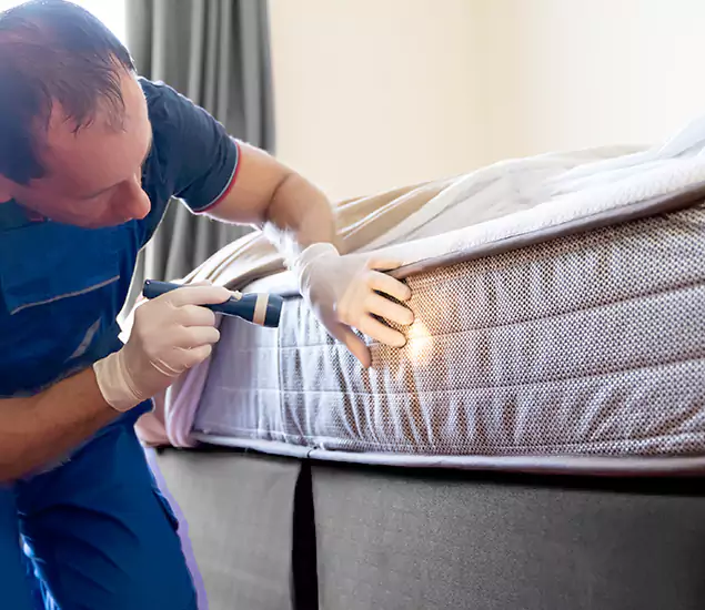 Trusted Bed Bug Cost Experts in Ann Arbor, MI