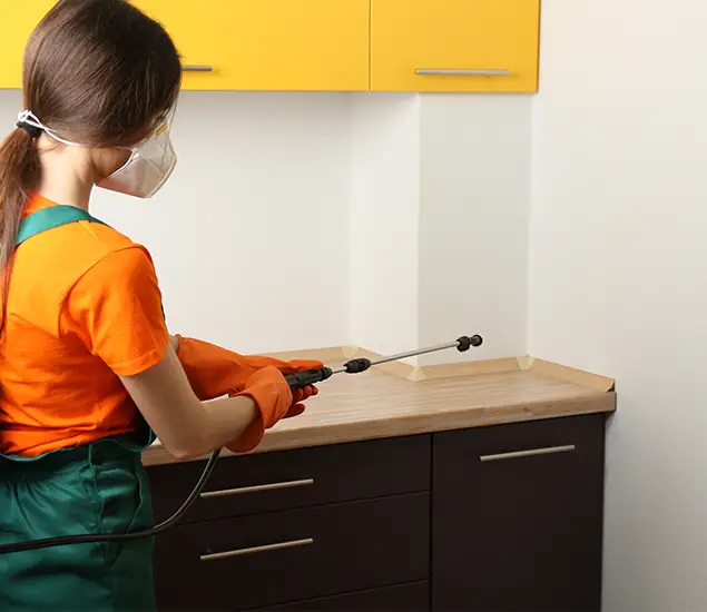 Trusted Bed Bug Pest Control Specialist in Ann Arbor, MI