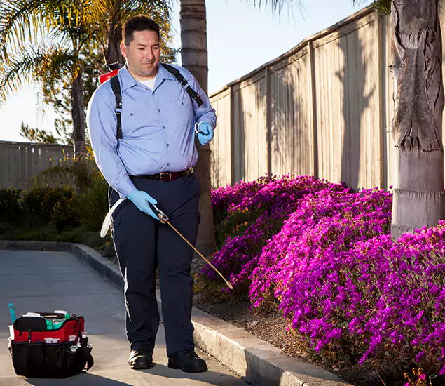 About Our Eco Safe Pest Control Experts in Ann Arbor, MI