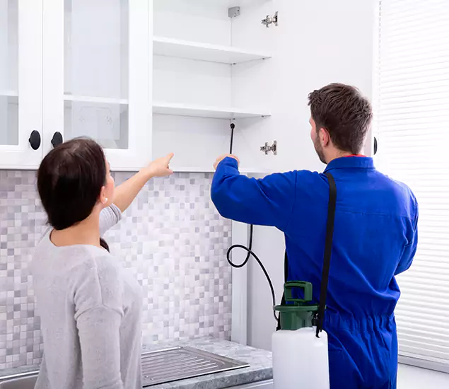 In Ann Arbor, MI Advanced Household Pest Control by Ann Arbor Pest Control Pros