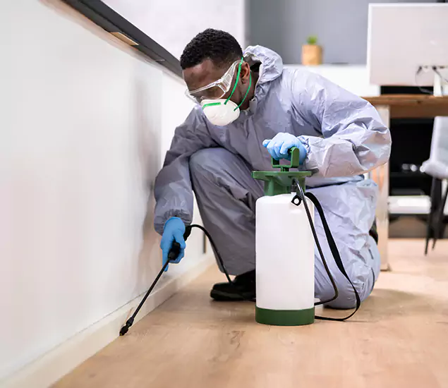 Leading Industrial Pest Control Experts Serving Ann Arbor, MI