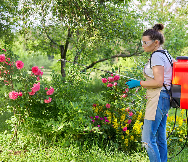 Your Trusted Mosquito Exterminator in Ann Arbor, MI