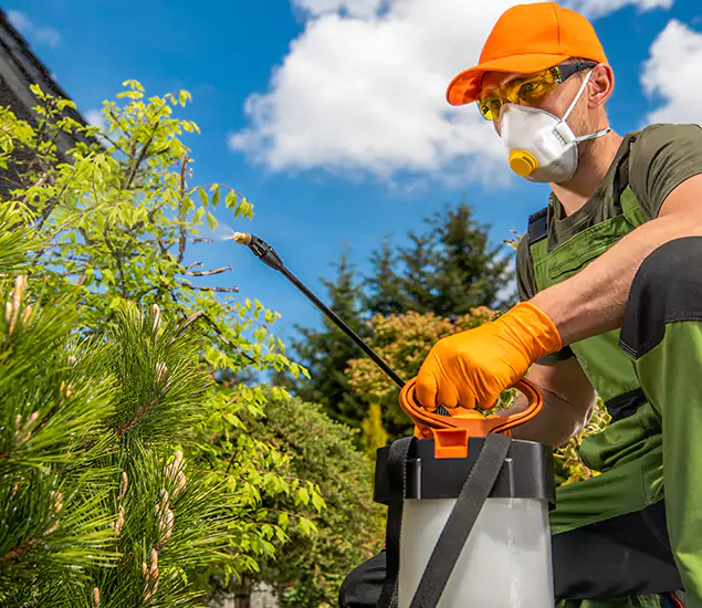 Your Best Bug Spray for Home Team in Ann Arbor, MI