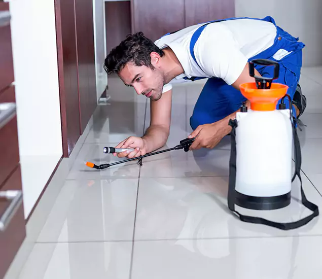 Reliable Professional Mouse Removal: Your Best Mouse Control Company in Ann Arbor, MI