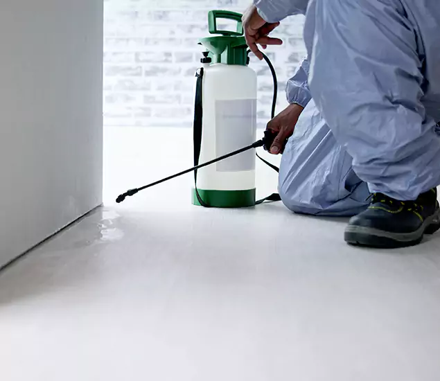 Affordable Pest Control Experts in Ann Arbor, MI