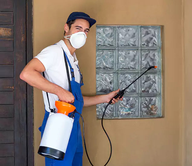 in Ann Arbor, MI Advanced Outdoor Pest Control Solutions by Ann Arbor Pest Control Pros