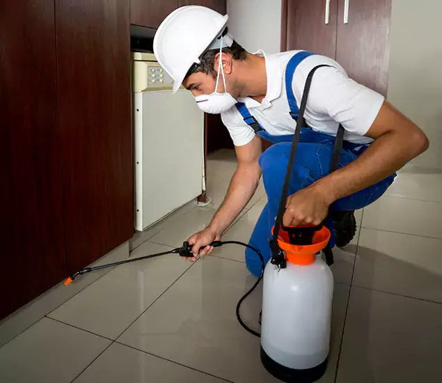 Advanced Termite Pre Treatment Experts in Ann Arbor, MI