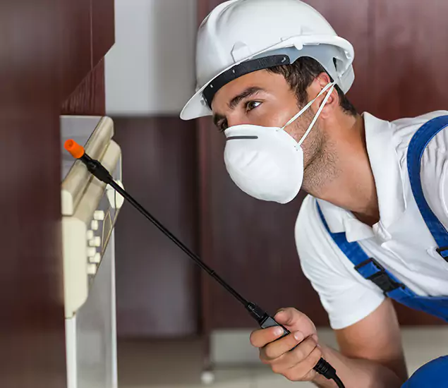 Expert Cockroach Exterminator: Your Roach Control Services in Ann Arbor, MI