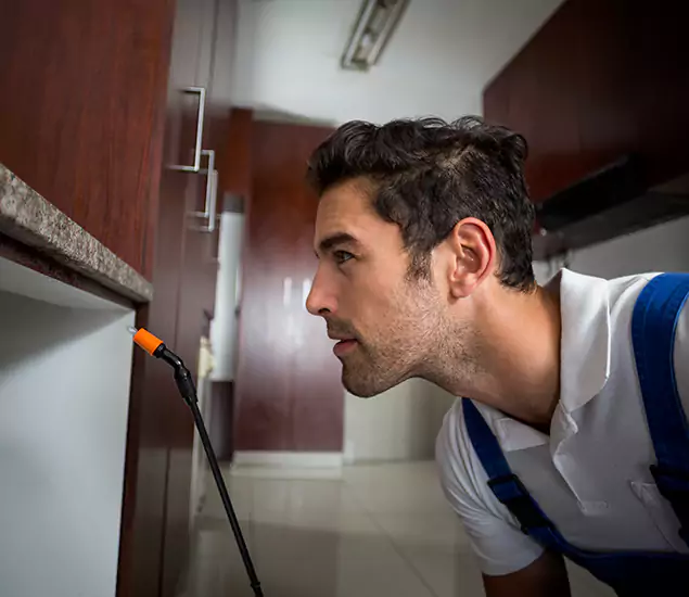 Expert Rodent in Attic Removal: Your Proven Pest Specialists in Ann Arbor, MI