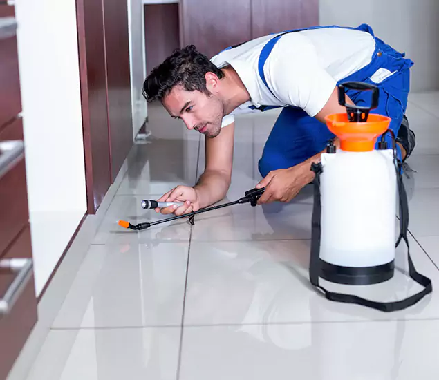 Advanced Slab Termite Treatment Experts You Can Trust&nbsp;in Ann Arbor, MI