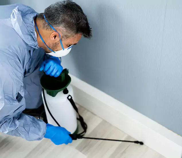 Reliable Termite Cost Experts in Ann Arbor, MI
