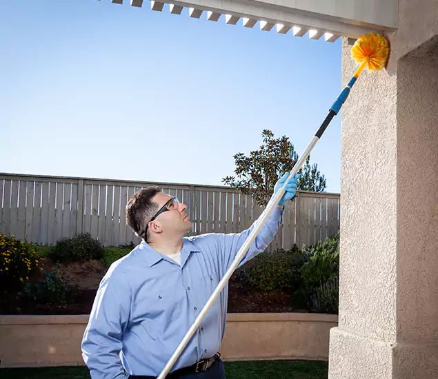 Your Trusted Wasp Removal Company in Ann Arbor, MI