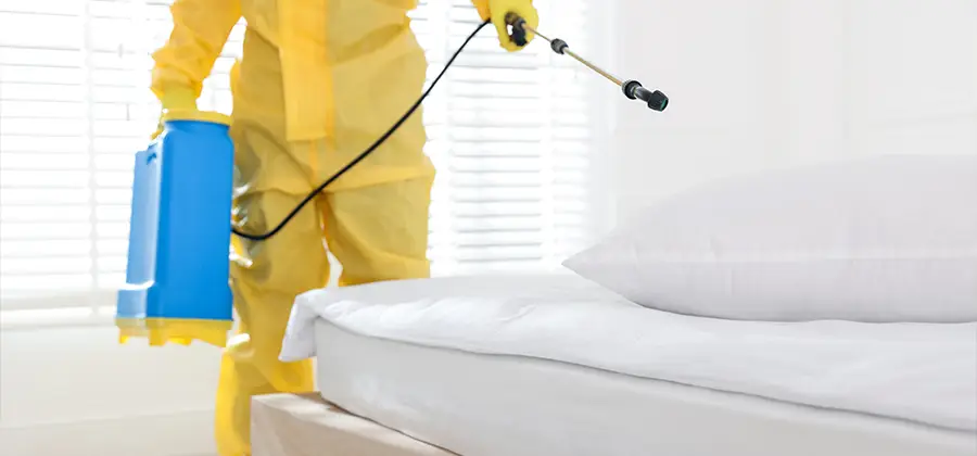 Targeted Chemical Application in Ann Arbor