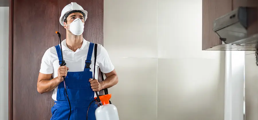 Per Room Bed Bug Cost in Ann Arbor