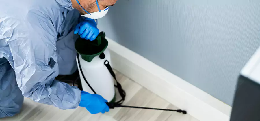 Fumigate Apartment Roaches in Ann Arbor