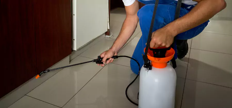 Indoor Mosquito Treatment in Ann Arbor