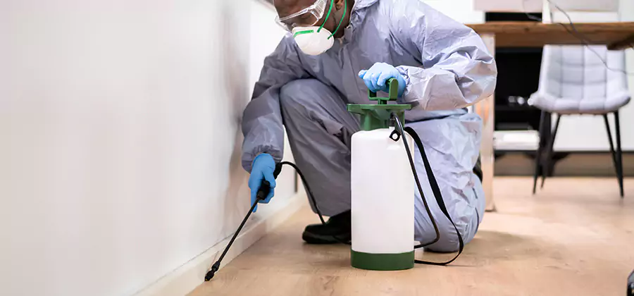 No Tent Termite Extermination With Electric Tool in Ann Arbor