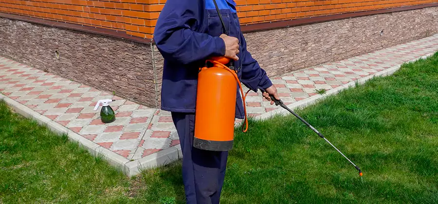 Non Toxic Termite Treatment in Ann Arbor