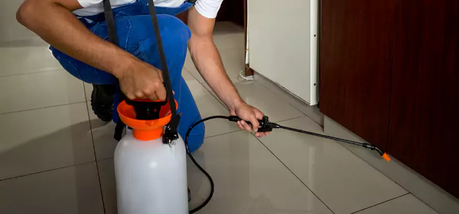 One Time Termite Control in Ann Arbor