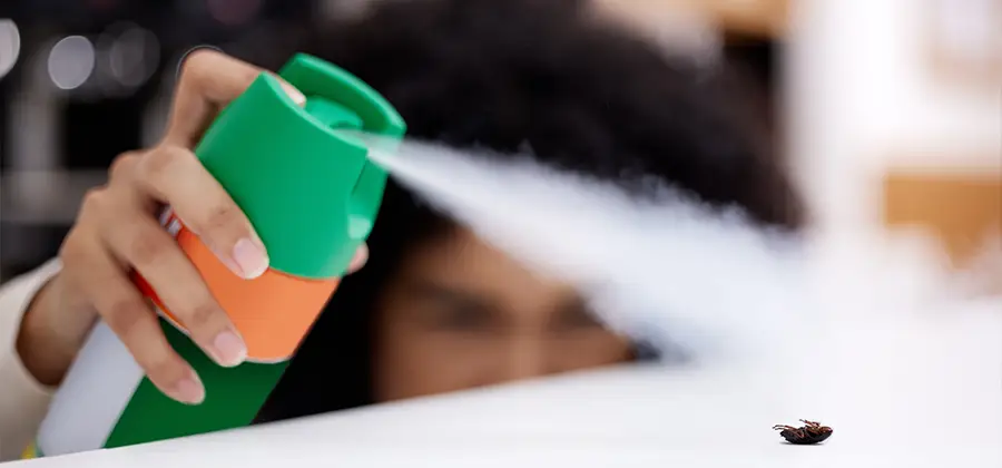 Child Safe Bed Bug Treatment in Ann Arbor