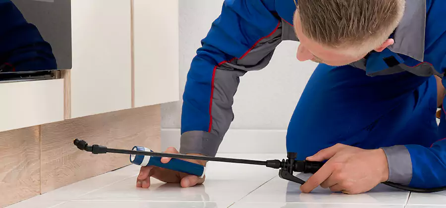 Moisture Treatment For Termite Control Service in Ann Arbor