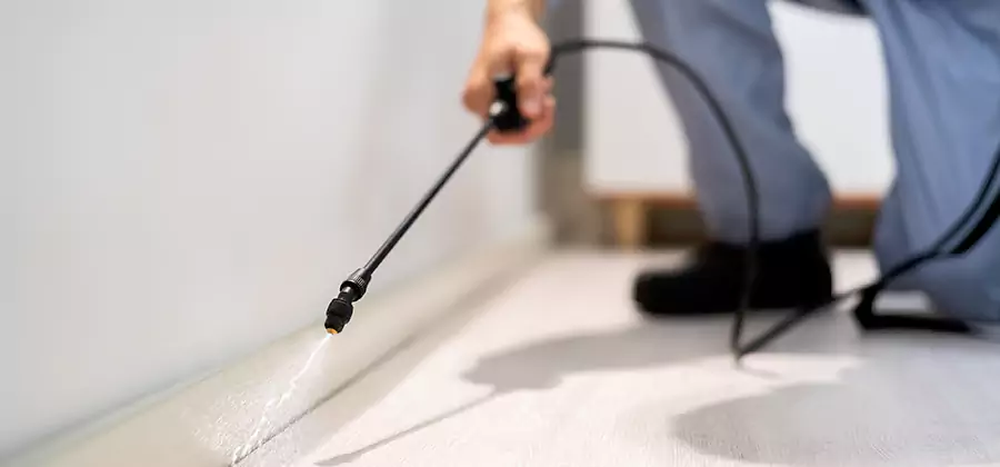 Direct Termite Injection Treatment in Ann Arbor