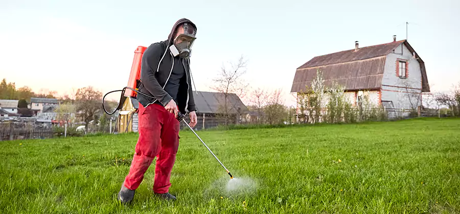 Flea and Tick Pest Control in Ann Arbor