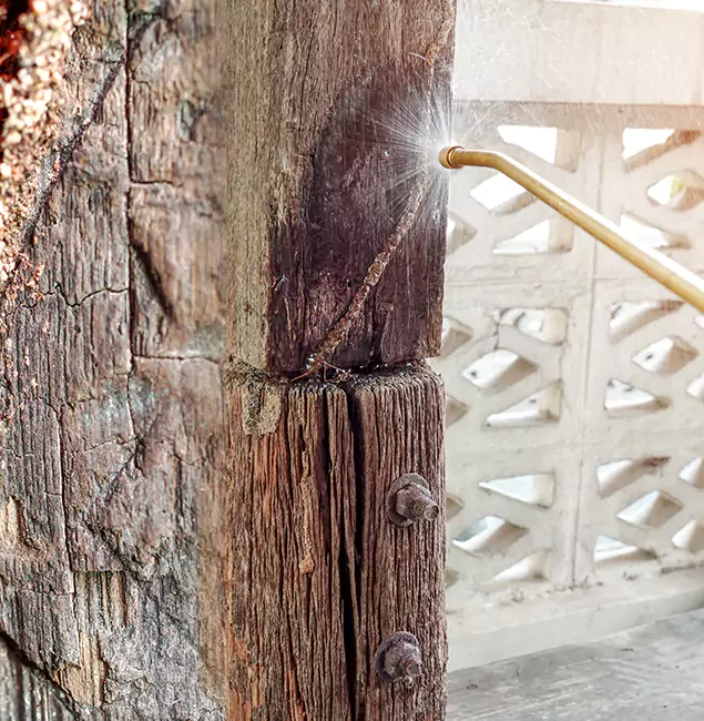 Why Choose Ann Arbor Pest Control Pros for Attic Termite Treatment in Ann Arbor, MI?