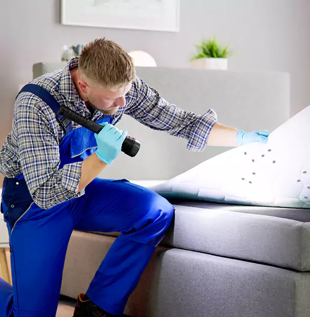 Why Choose Ann Arbor Pest Control Pros for Bed Bug Exterminator Cost in Ann Arbor, MI?