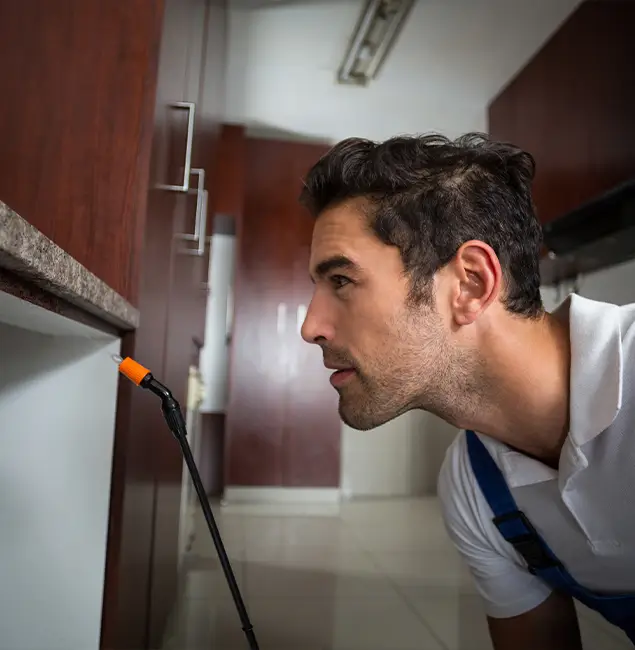 Why Choose Ann Arbor Pest Control Pros for Bed Bug Removal Cost in Ann Arbor, MI?
