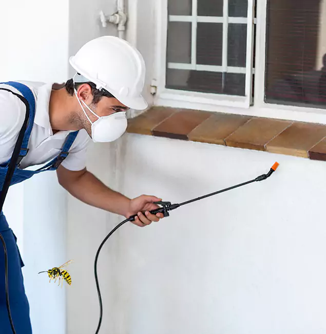 Why Ann Arbor Property Owners Choose Ann Arbor Pest Control Pros for Bee Nest Removal?