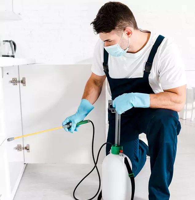 Why Choose Ann Arbor Pest Control Pros for Emergency Pest Control in Ann Arbor?