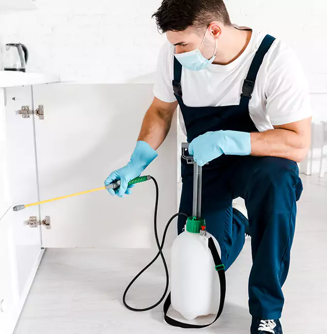 Why Ann Arbor, MI Homeowners Trust Us for German Roach Control?