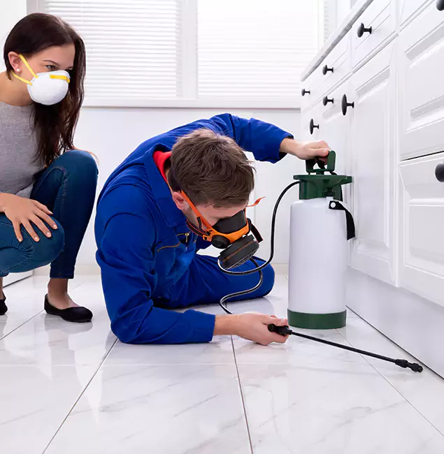 Why Ann Arbor, MI Homeowners Trust Ann Arbor Pest Control Pros for Roach Control?
